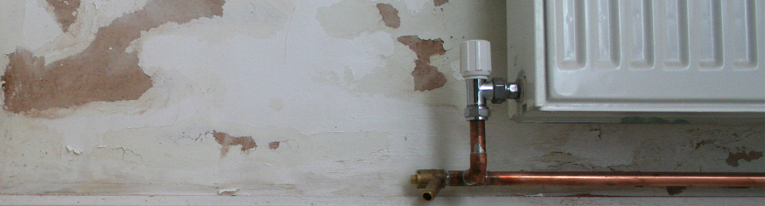 Teil 1: Aufsteigende Feuchtigkeit