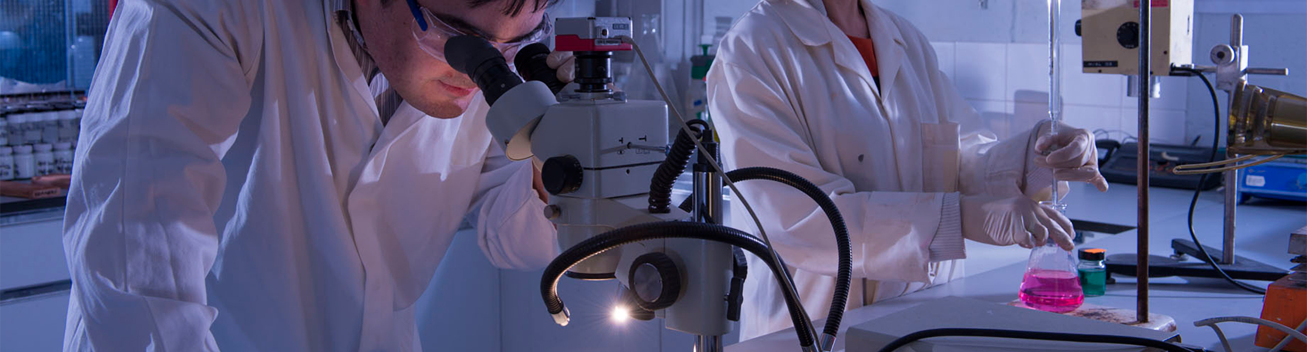 Teil 5: Forschung und Entwicklung