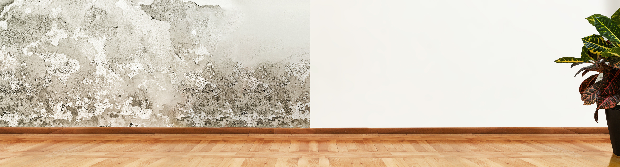 Das Dryzone System Angebot