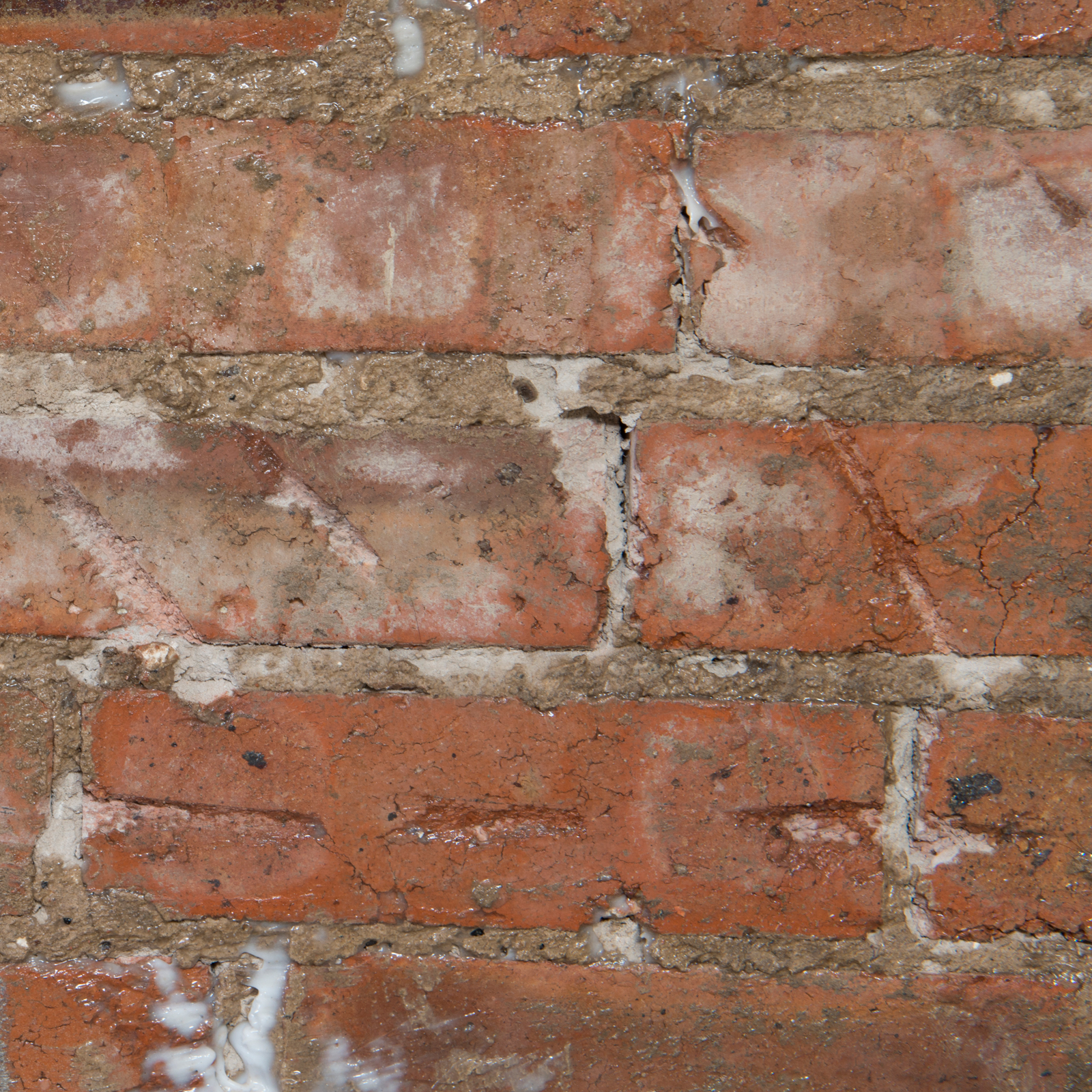 Lassen Sie Dryshield in die Wand einziehen