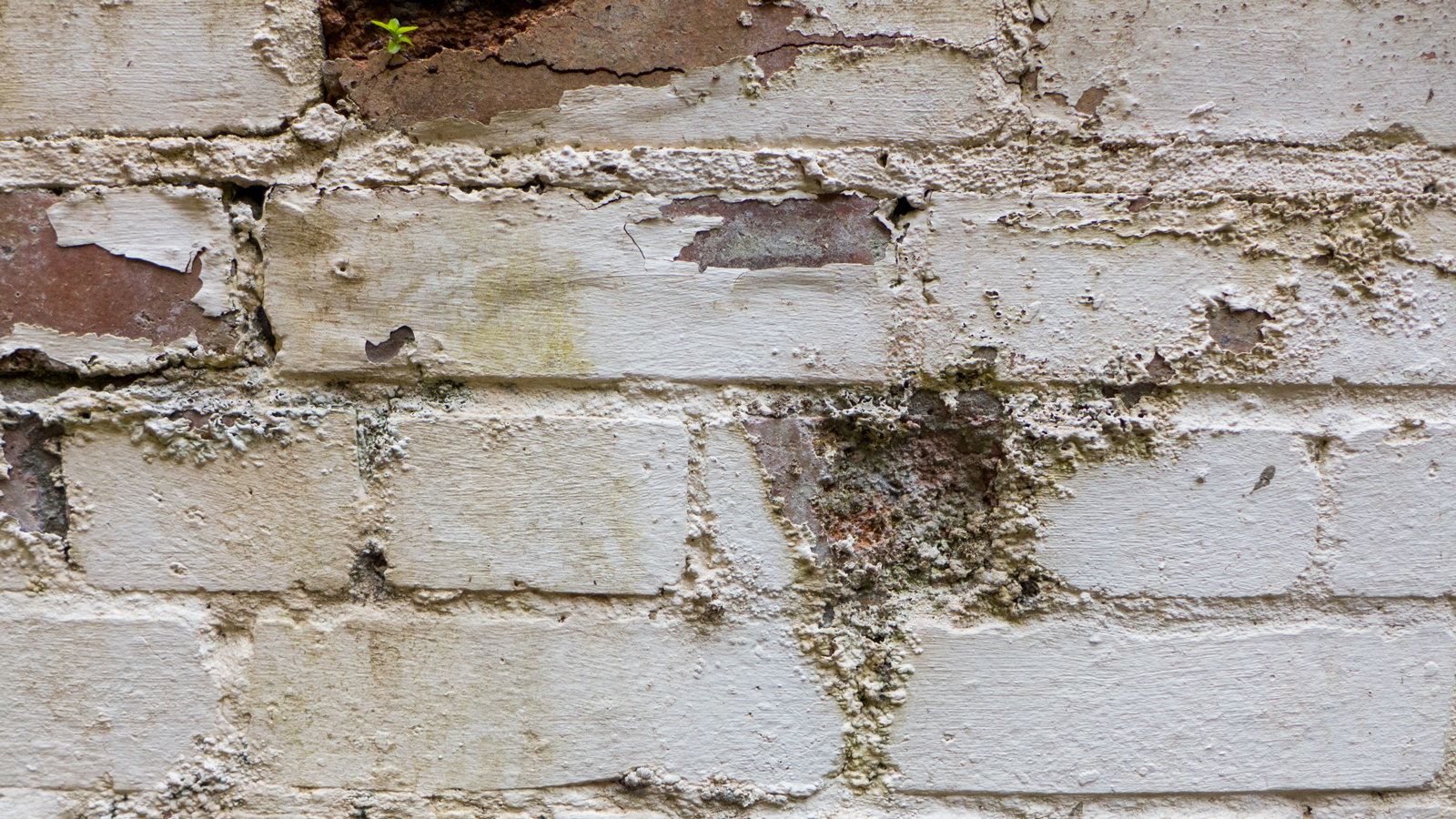 'Anzeichen von eindringender Nässe'