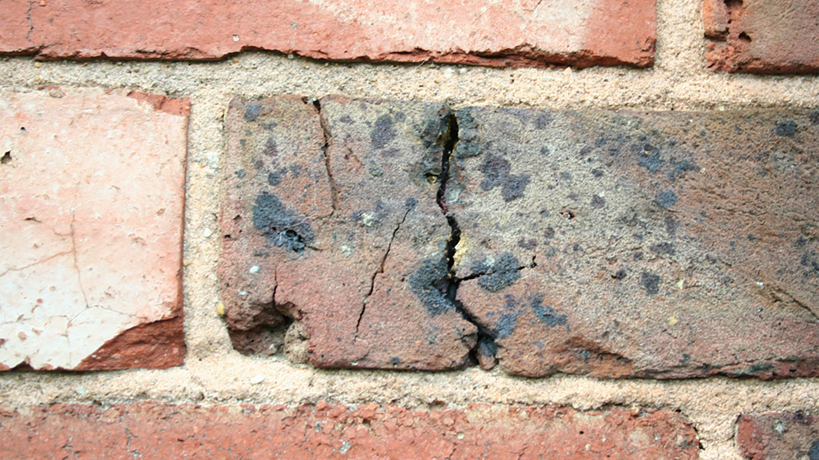 'Nasse Wände: Ursache eindringende Nässe'