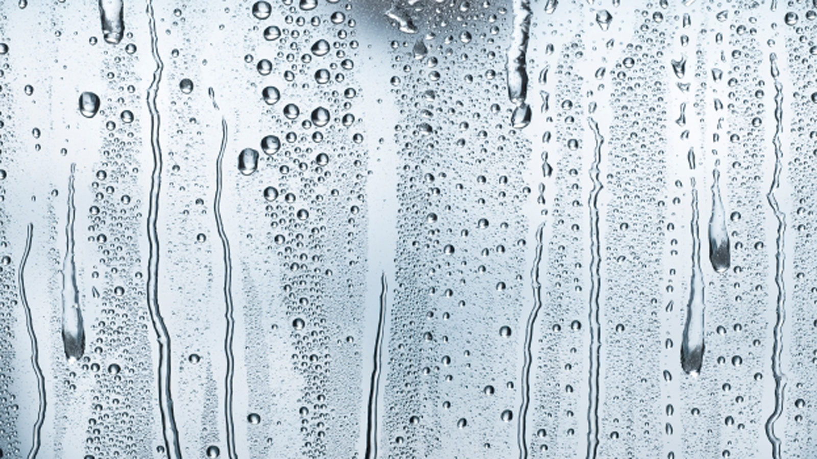 Was verursacht Schimmel im Haus